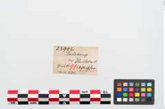 Etiketten zu Schleifstein (NHMW-PRAE-023992)